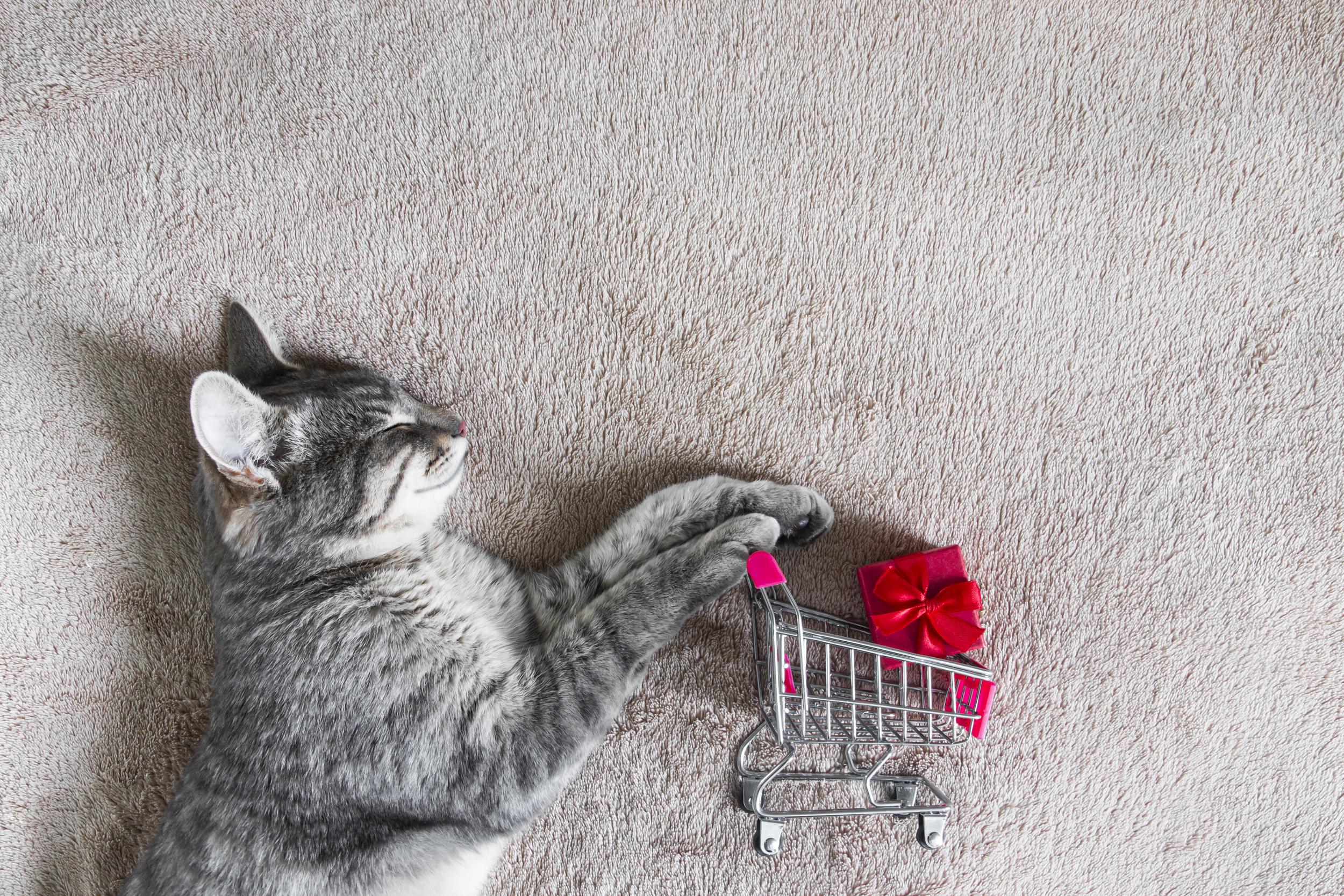 Grey Cat with Mini Shopping Cart