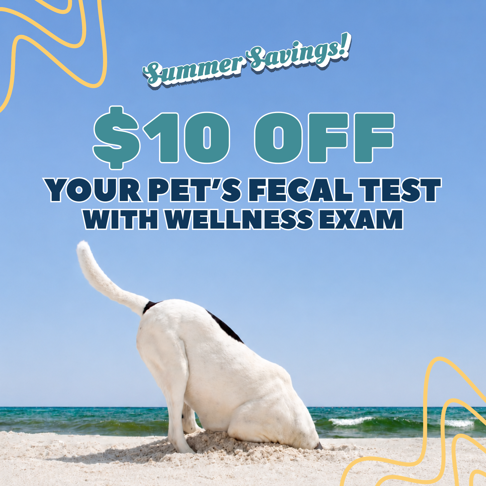 $10 Off Youtr Pet's Fecal Test Promo Image