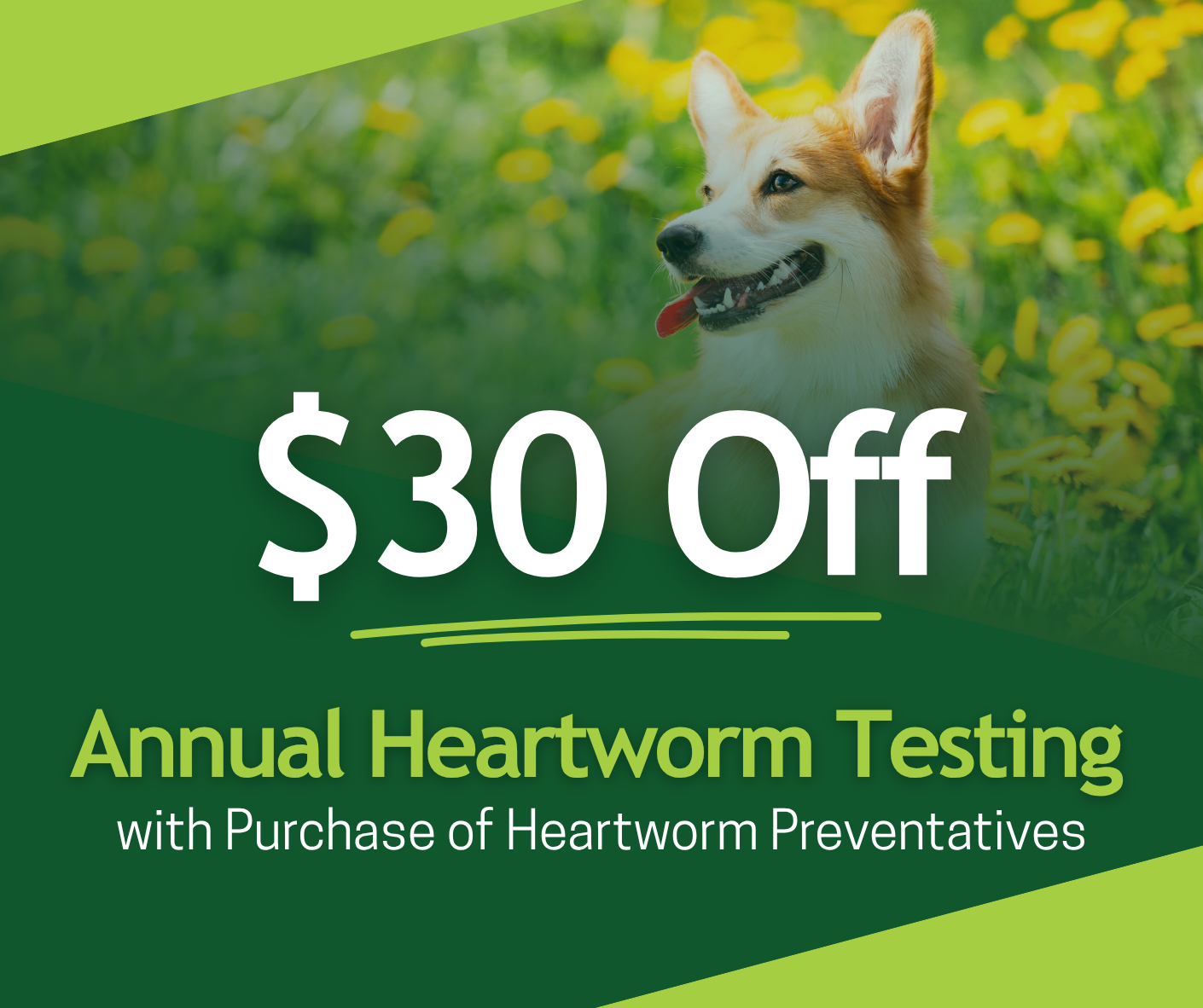 $30 Off Annual Heartworm Testing Promo Image