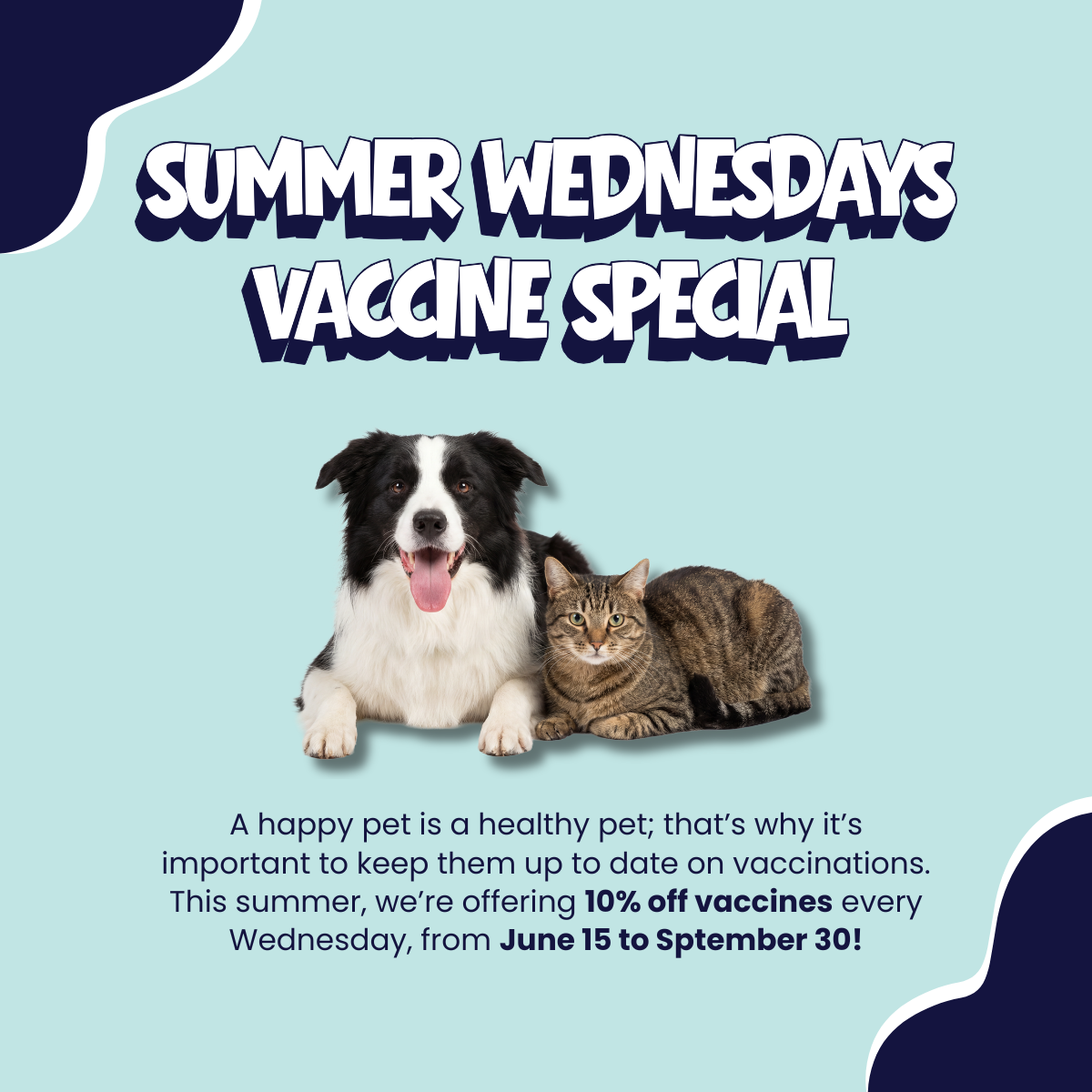 Summer Wednesdays Vaccine Special Promo Image